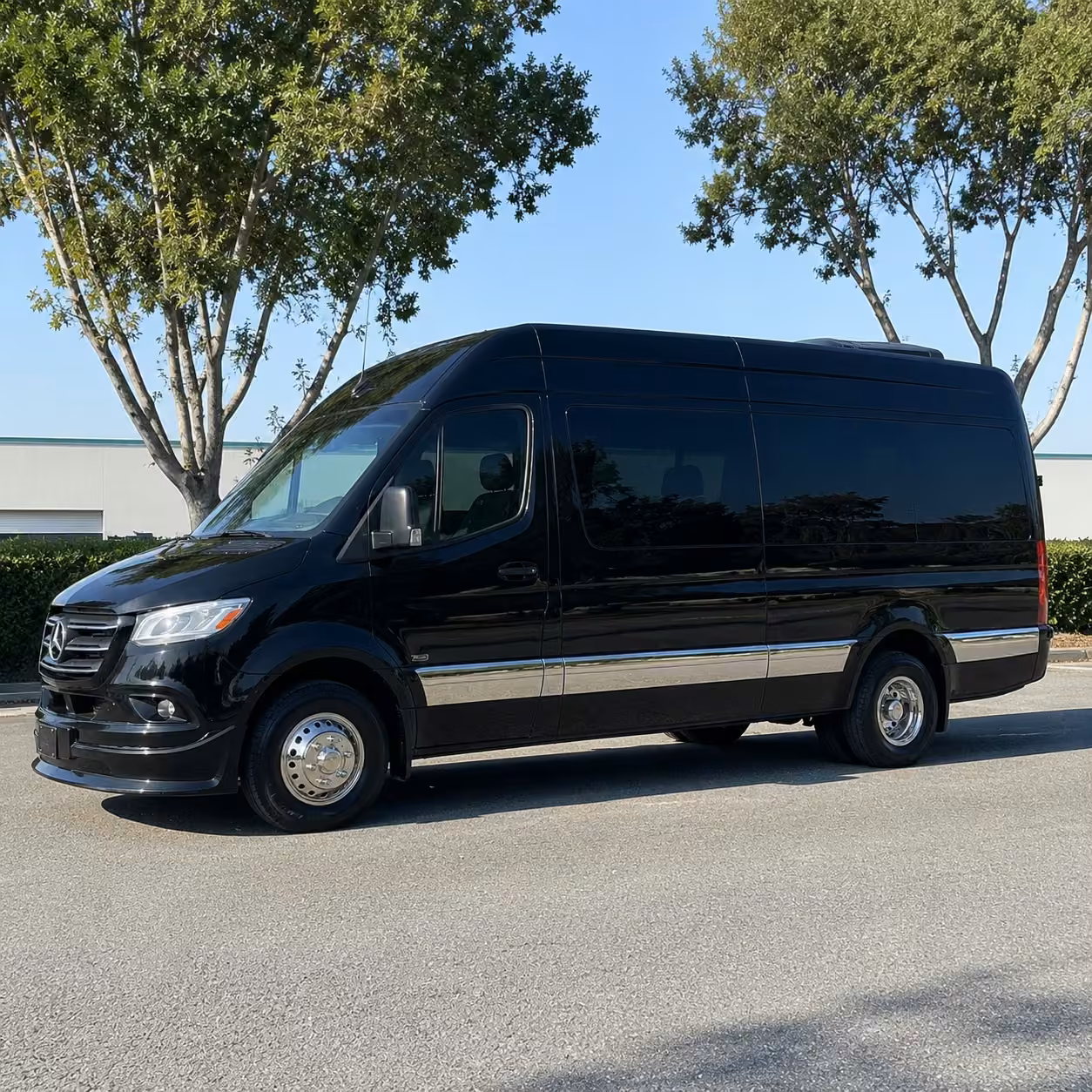 sprinter van rental with driver